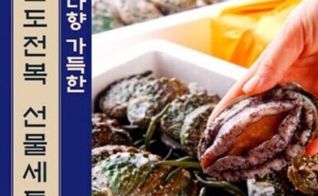 엄마들 사이에서 난리난 완도 특大활전복 18미 베스트8