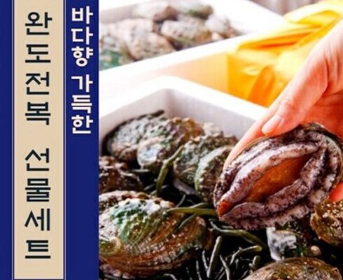 엄마들 사이에서 난리난 완도 특大활전복 18미 베스트8