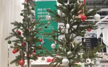 나만 보고 싶은 이케아트리 베스트8