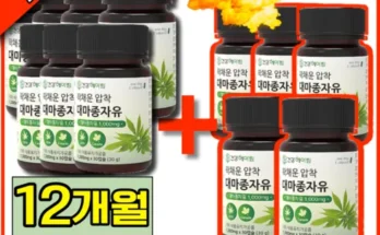 나만 보고 싶은 대마종자유 12박스  대마종자유 6박스(800mg6박스 추천 리뷰