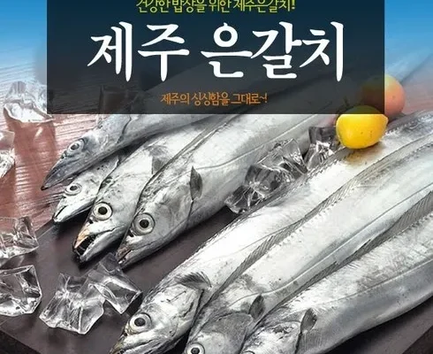 톱배우들도 쓴다는 삼다 제주순살갈치 150g x 16팩  총 2.4kg Best8추천